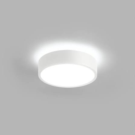 ROUND SURFACE DOWNLIGHT 50W WARM WHITE