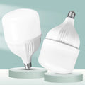 LED BULB  30W WARM